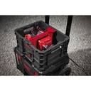 Przegroda_do_kraty_PACKOUT™_Milwaukee_Packout_Crate_Divider_1