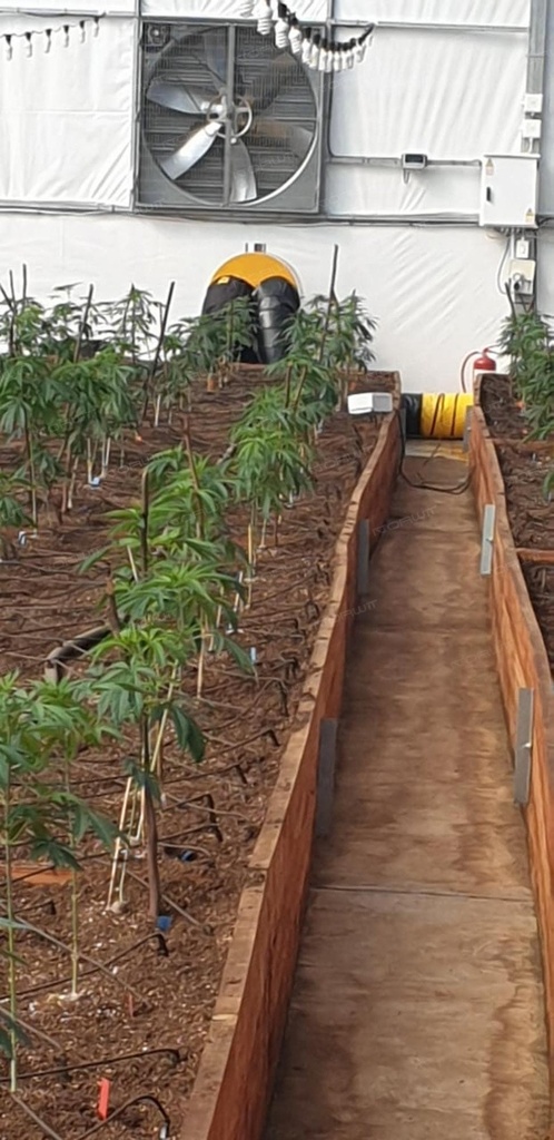 Nagrzewnica olejowa z odprowadzeniem spalin Master BV 400
